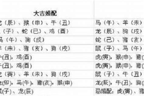 1997 生肖|1997年属什么生肖 和什么属相最配